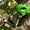 green, variant on Dinosaur Head Squirrel Feeder, 6.69 x 3.94 x 4.72-Inch, Plastic Hanging Open-Mouth Feeder, White for Squirrels, Chipmunks, and Backyard Trees