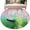 DeepPink, variant on Round Area Rug 8 Ft, Pink Flowers Washable Non-Slip Circle Carpet for Living Room/Bedroom, Green Lake Spring Plants Small Boat Collection Low-Profile Large Area Rugs for Indoor