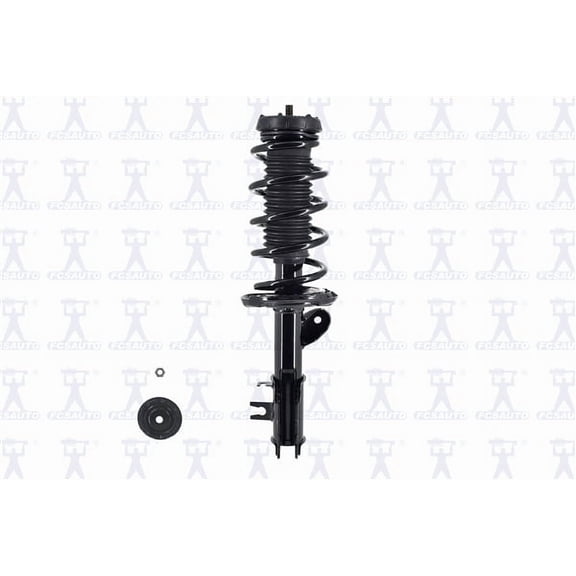 Suspension Strut and Coil Spring Assembly