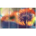 thumbnail image 2 of Dandelion Flower on Orange Background - Floral Canvas Art Print, 2 of 3