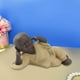 thumbnail image 4 of Adorable figurita de monje pequeño, adorno para té o mascota, para decoración de escritorio y estantes. No escuchar el mal, 4 of 9