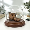 thumbnail image 2 of Plymor 4 inch x 4 inch Glass Display Dome Cloche (Dark Wood Base), 2 of 2