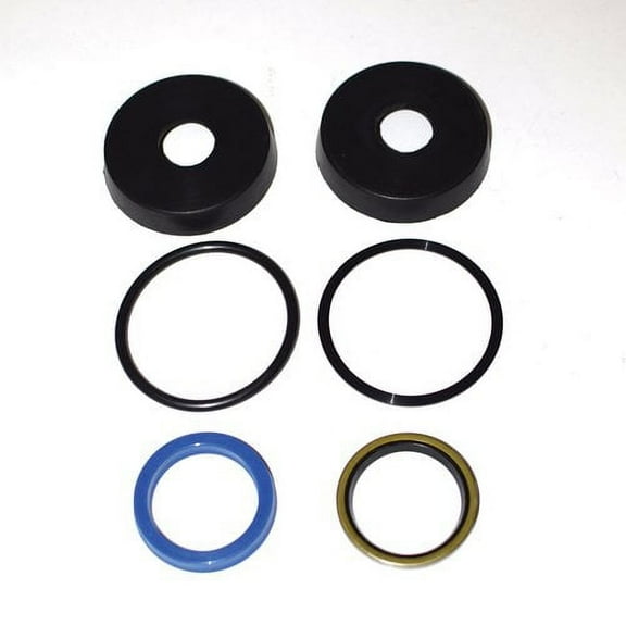 Loader Seal Kit fits Hydraulics Cylinders fits Farmhand F21-A F21-B 1A3593 1A2976 1R3050