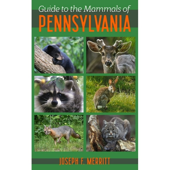 Regional Guide to the Mammals of Pennsylvania, (Paperback)