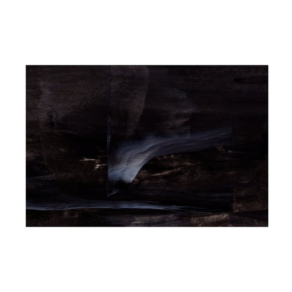 Trademark Fine Art uplusmestudio Dramatic Texture Canvas Wall Art