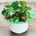 thumbnail image 3 of 8 Pack Strawberry Supports - Strawberry Plant Support with 3 Sturdy Legs - Strawberry Growing Racks Strawberry Growing Frame,Protection of Strawberry Plants from Mold, Rot and Dirt(Green), 3 of 7