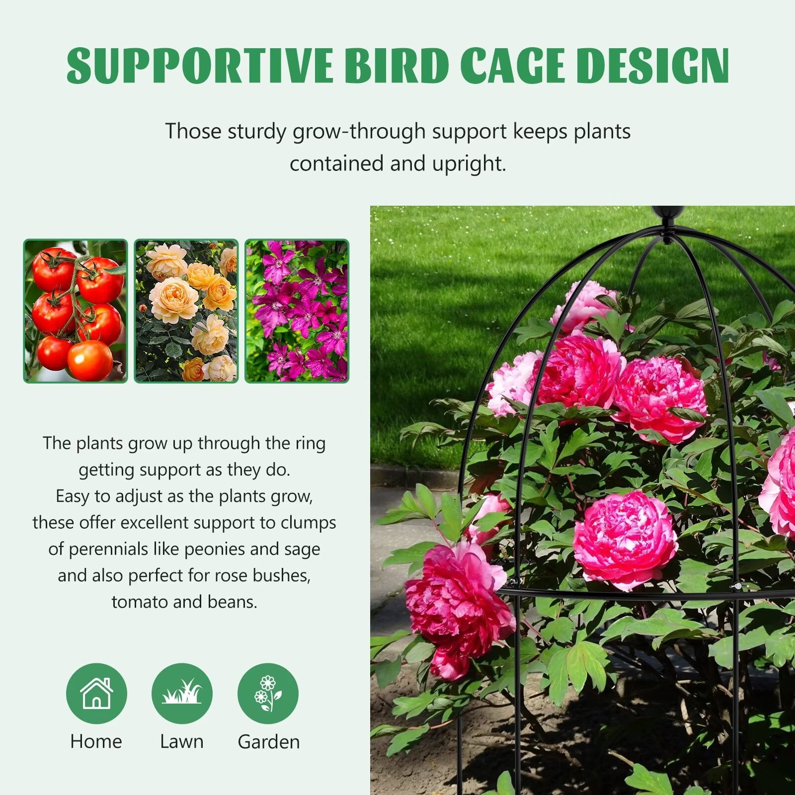 MOPHOTO Garden Trellis for Climbing Plants Outdoor, Tomato Cage Metal Obelisk Trellis Plant Trellis for Potted Plant, Flower Trellises Plant Cages Peony Cages Plant Support (Black, 3 Pack)