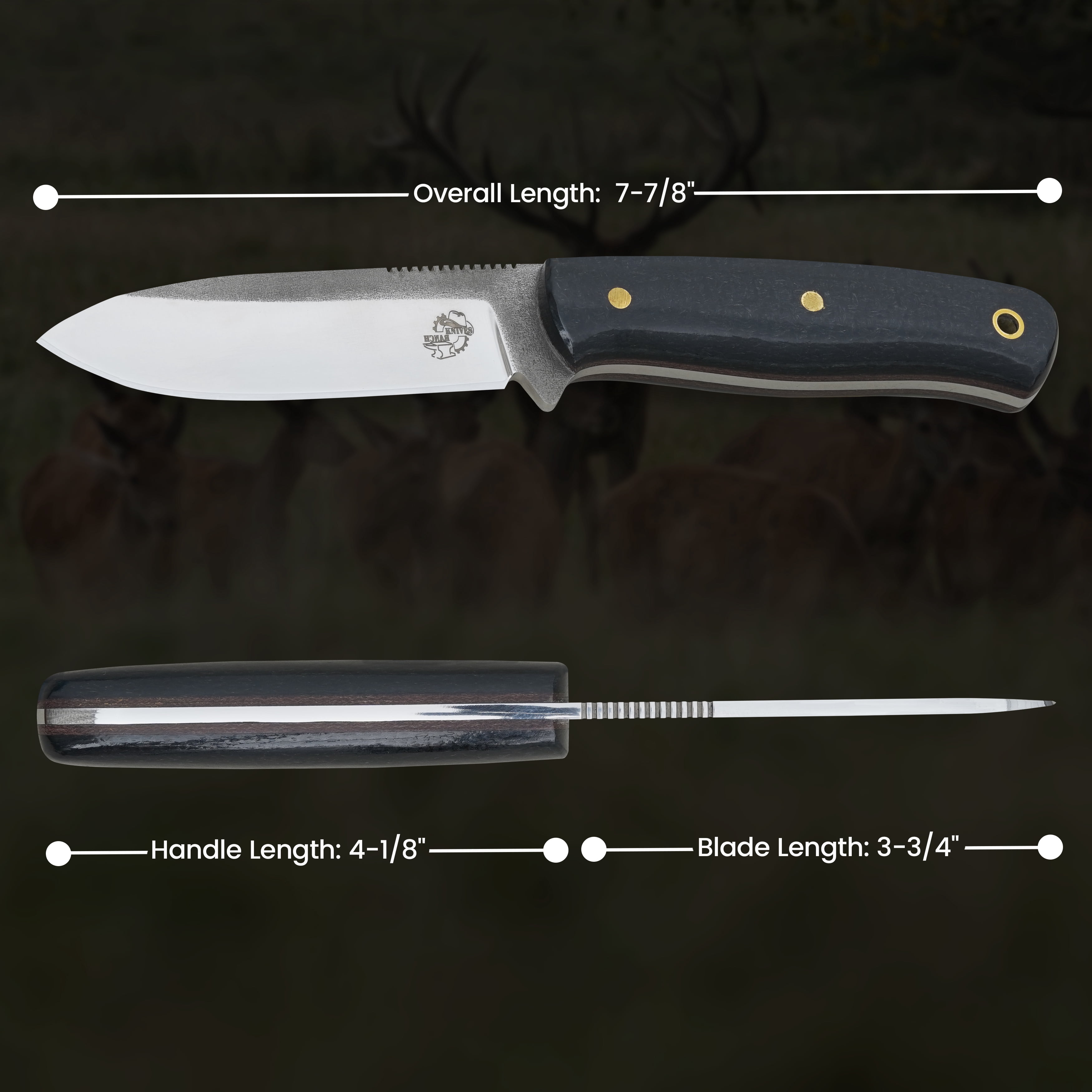 Knives Ranch Camper One | 8 inch Horizontal Carry Bushcraft, Camping, Hunting & Outdoors Knife | High Carbon Stainless Steel 440-C | 59 Hardness | Cowboy Style Dual Carry Sheath