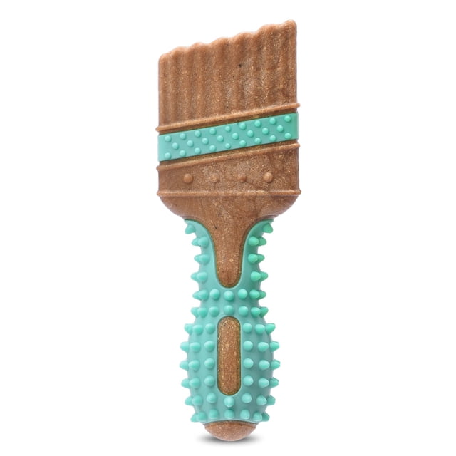 Brazo y martillo para mascotas, colección de herramientas para masticar