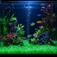 thumbnail image 2 of Clearance Volra 1000PCS Night Guide Pebbles, Green Glowing Rocks For Outdoor Decor, Garden Lawn Yard, Walkway, Fish Tank, Pathway, Luminous Pebbles Powered By Light Or Solar-Recharge Repeatedly, 2 of 6