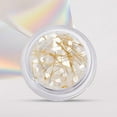 thumbnail image 3 of Limei Great Nail Charm Shining Visual Effect for Nail Salon Decorative, 3 of 7