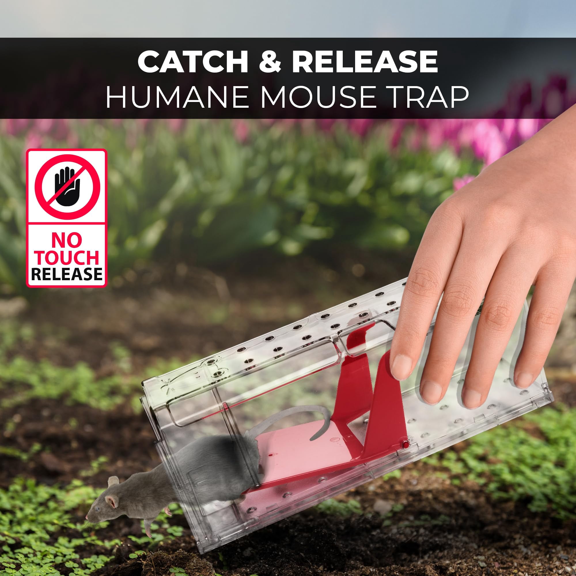 Humane Mouse Pack Of 4 - No Live Traps Indoor For Home Use Reusable Rodent House  Safe & Effective Rat Outdoor Mice Control With Cleaning Brush