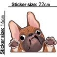 thumbnail image 2 of Pegatinas para coche de 1 pieza, pegatinas para perros, pegatinas bonitas para coches, pegatinas para ventanas de coches con pegatinas para perros, pegatinas para coches de perros, Bulldog caqui, 2 of 5