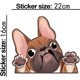 thumbnail image 1 of pieza de pegatinas para coche, pegatina para perros, pegatinas bonitas para coches, pegatinas para perros, 1 of 4