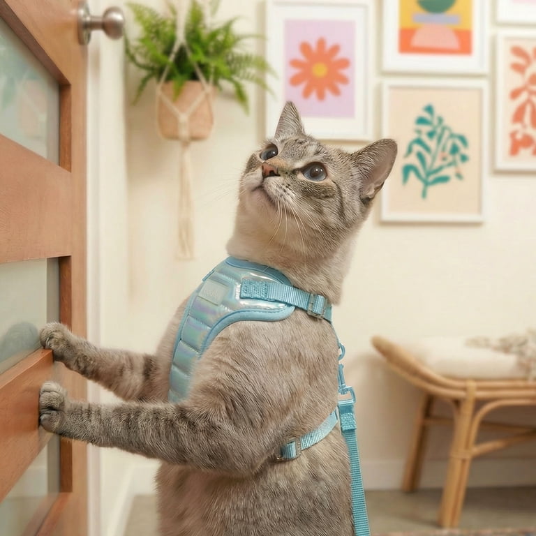 Oodles Iridescent Cat Walking Harness & Leash Set, Teal, One Size
