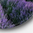 thumbnail image 3 of Designart 'Dramatic Clouds and Sunrise Over Lavender Field VII' Farmhouse Circle Metal Wall Art 36x36 - Disc of 36, 3 of 5