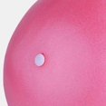thumbnail image 2 of 10 Inch Exercise Pilates Ball Mini Exercise Barre Ball for Yoga,Stability Exercise Training Gym Anti Burst and Slip Resistant Balls Physical Therapy Improves Balance, Core Strength, 2 of 9