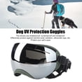 thumbnail image 4 of Lunettes de Protection pour Animaux, Lunettes de Soleil Confortables avec Sangles Élastiques Réglables Durables pour Course Lentilles Rouges, Lentilles Grises, Lentilles Bleues, Lentilles Transparentes, Lentilles Argentées, 4 of 7