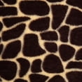 thumbnail image 6 of Cozy Tyme Nasir 100% Polyester Faux Fur Throw - Printed Rabbit Fur 50"x 60" Giraffe, 6 of 11