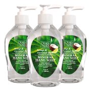 Dead Sea Collection Hand Soap Foaming Large Bottle with Pump Hemp & Coconut Lime Pack 3, 36 fl oz