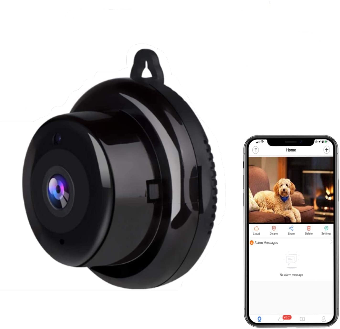 Motion sensor camera with night vision