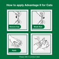 Advantage II Flea Prevention for Large Cats 9 lbs+, 6Monthly Treatments