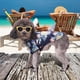 thumbnail image 5 of [Yue Xinghui] Propiedad Intelectual Procesada ZH Camisa De Piña De Playa Para Perros Pequeños, Medianos Y Grandes Perro Mascota Hawaiano Gato Golden Retriever Primavera Y Verano ANGGREK Otros, 5 of 8