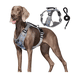 thumbnail image 1 of Xtellar Pechera Arnés De Seguridad Para Perro Chico Mediano Y Grande Talla L, 1 of 2