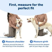 PetSafe 3 in 1 Harness, Fully Adjustable No-Pull Dog Harness and Car Restraint, Medium, Black