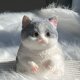 thumbnail image 1 of Juguete antiestrés con forma de gato | Pelota antiestrés DIY para adultos y niños | Juguete suave y kawaii con forma de gato | Juguete para apretar de 20 cm para el hogar, la oficina y los viajes, 1 of 7