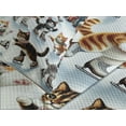 thumbnail image 4 of Ambesonne Cat Quilted Bedspread Set 3 Pcs, Cheery Kitties Ice Skating Fun, King Size, Orange Brown Pale Blue, 4 of 5