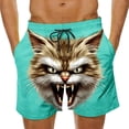 thumbnail image 2 of BRGZLK Mens Beach Shorts Summer Drawstring Waist Funny Cat Expression Print Summer Swim Trunks Novelty Beachwear Sports Vacation Shorts with Pockets, 2 of 6