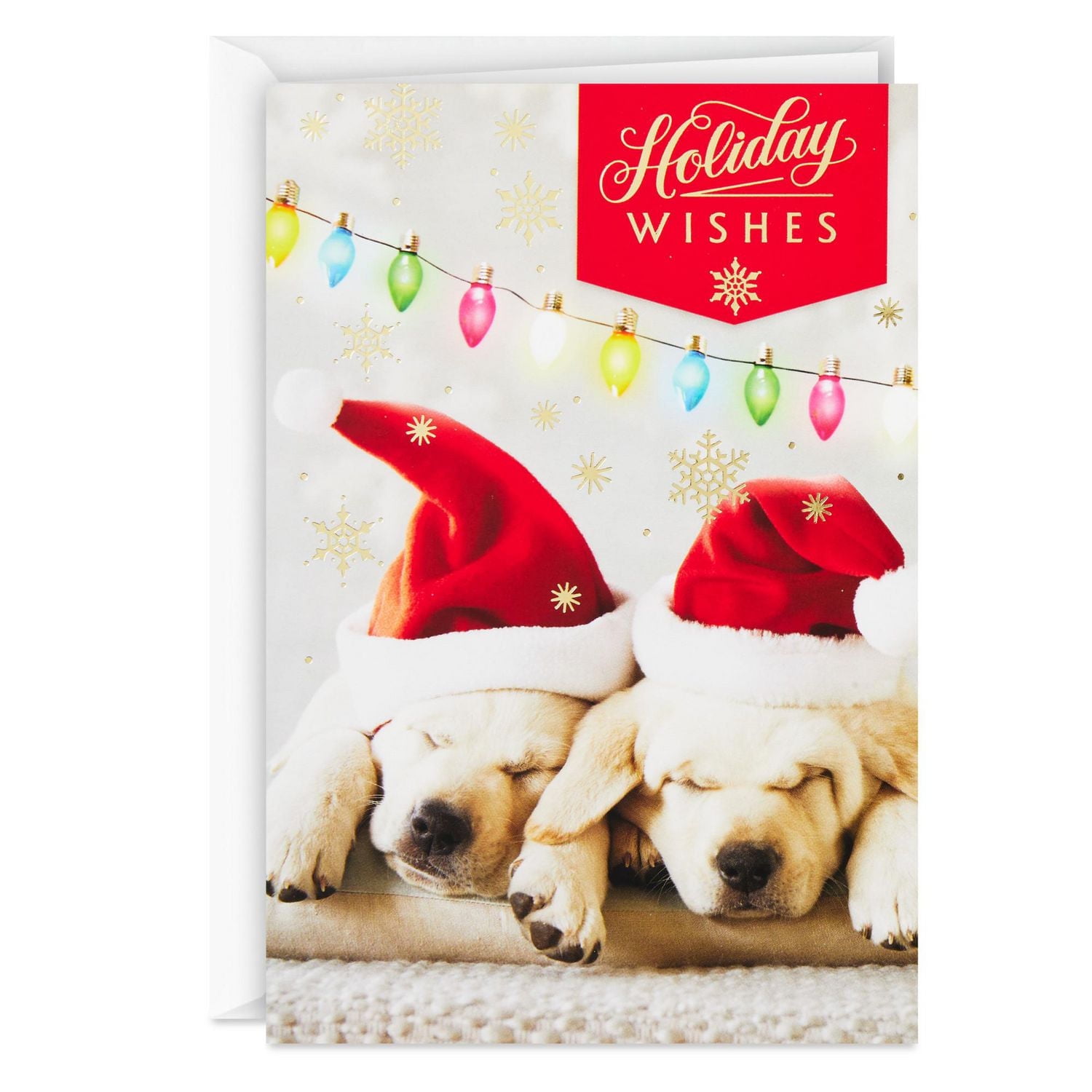 Connections from Hallmark Boxed Christmas Cards (Puppies in Santa Hats), 18 ct.