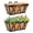 2-16inch, variant on 4 16inch Metal Railing Window Box Planter with Coco Liner