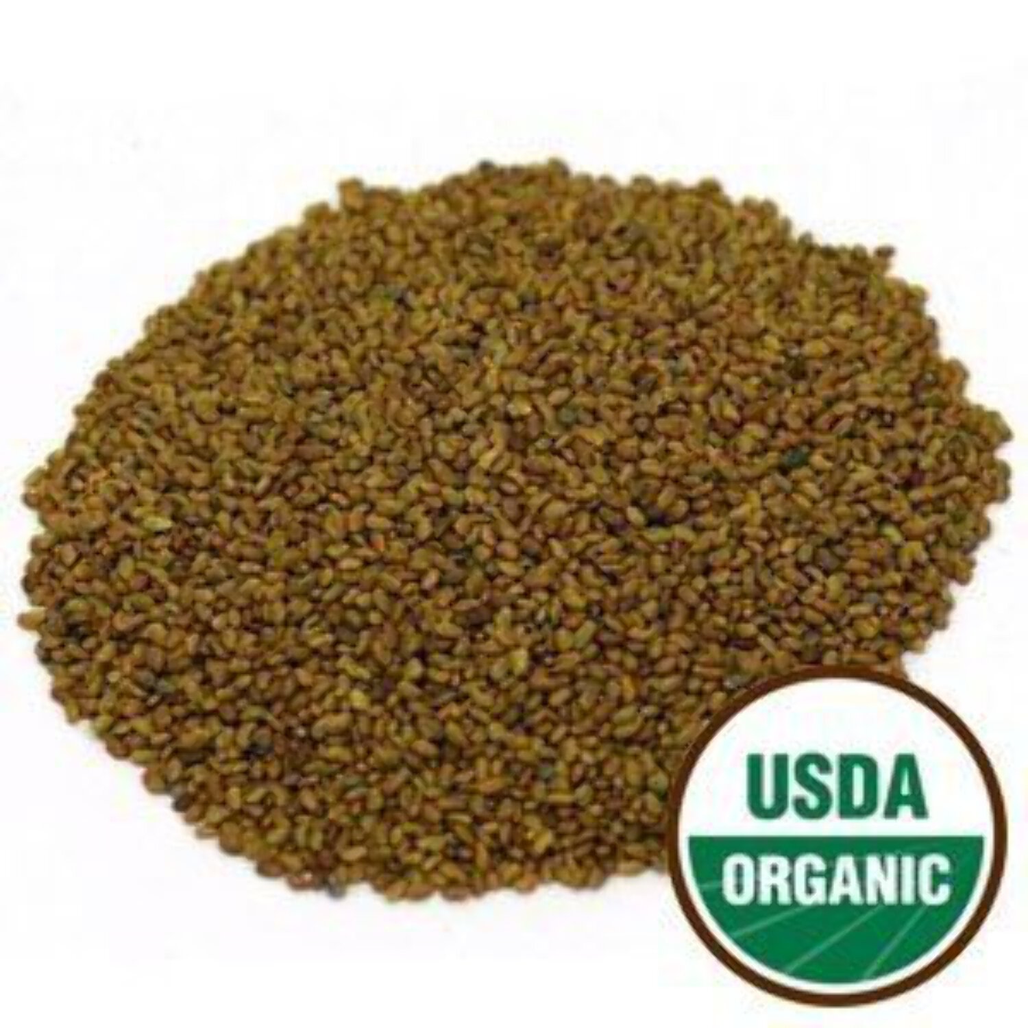 Alfalfa Sprouting Seeds – 9600 Ct, Organic, Non-GMO, Heirloom – By Maxboba