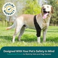 thumbnail image 2 of Perro Rodilla Soporte para Torn ACL Hind Leg, Rear Leg Cruciate Ligament Soportes para Perros, Strong Support to Reduce Joint Pain y Muscle Sore, 2 of 2