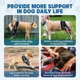 thumbnail image 3 of UOSIA Dog Knee Brace Adjustable Leg Support Bracket Dog Dog Knee Brace for Four Legs, 3 of 8