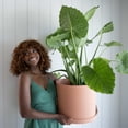 thumbnail image 2 of Bloem Mathers 12" Plastic Planter - Modern Indoor Pot with Drainage Holes and Saucer Tray, Muted Terra Cotta, 2 of 6