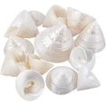 thumbnail image 1 of Conchas marinas espirales naturales sin perforar, 100 g (13 piezas), conchas marinas de playa de 2 a 4 cm, con diseño floral blanco, sin agujeros., 1 of 5