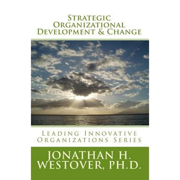 Leading Innovative Organizations: Strategic Organizational Development and Change (Paperback)
