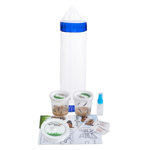 Live Butterfly Garden Kit