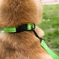thumbnail image 3 of Flmtop Traction Rope Collar Reflective Explosion Proof Nylon Walking Safety Leashes for Puppy Fluorescent Green, 3 of 9