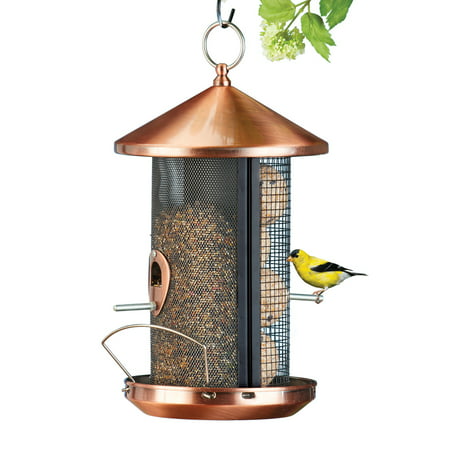 Copper-Look Bird Feeder with Two Perch Feeding Stations for Anywhere in Yard or (Best Bird Feeding Station)