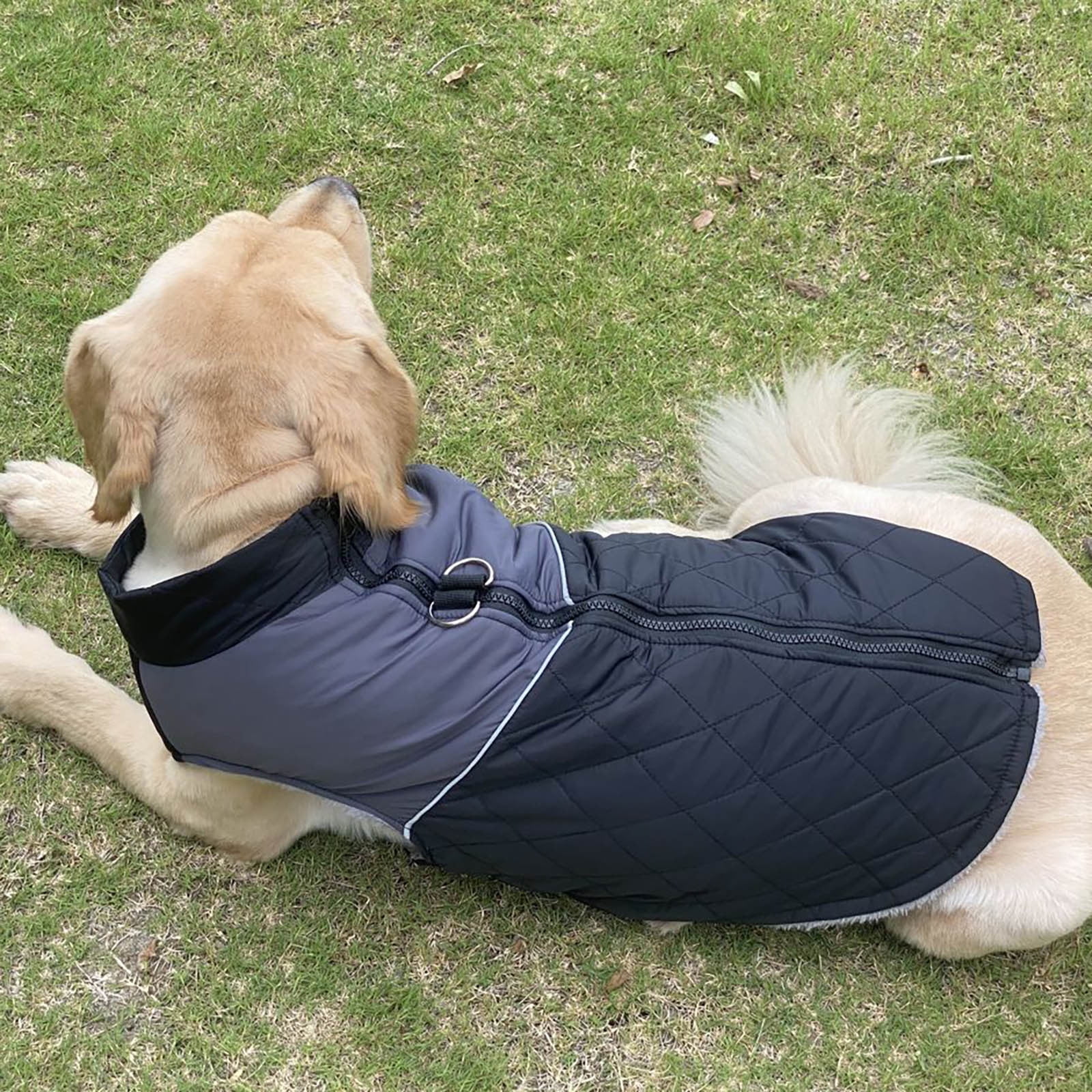 Reflective Waterproof Pet Coat Pet Clothes for Medium Dogs Boys Winter Warm Dog Coat Pet Clothes for Large Dogs Girl for Small Medium Large Pet Clothes for Cats for A Girl Dog