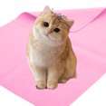 thumbnail image 4 of unbranded 2Ud Toallas Grandes Para De Mascotas Y En Días Fríos, 4 of 8