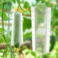 thumbnail image 3 of tasrioml Cucumber Shaping Mold Reusable Transparent Plastic Garden Vegetable Growing Molds Easy-to-use Vegetable Cultivation Mold for Cucumber Tomato Carrot, 3 of 8