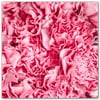 Picture-Tiles.com: Flowers Ceramic Tile Wall Mural WAL500645-55XL. 60"W x 60"H using (25) 12" x 12" Ceramic Tiles-Satin Finish