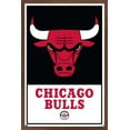 thumbnail image 1 of NBA Chicago Bulls - Logo 21 Wall Poster, 22.375" x 34" Framed, 1 of 4