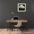 thumbnail image 3 of Lavoie, Tina 26x26 White Modern Wood Framed Museum Art Print Titled - Poppy In Verdigris And Rust II, 3 of 4