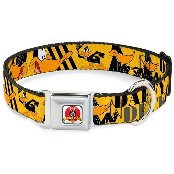 Looney Tunes Pet Collar, Dog Collar Metal Seatbelt Buckle, Daffy Duck Poses Yellow Black, 9.5 to 13 Inches 1.0 Inch Wide